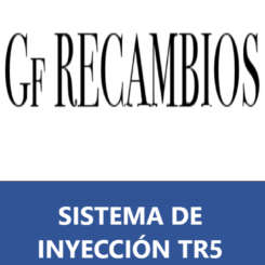 SISTEMA DE INYECCIÓN TR5