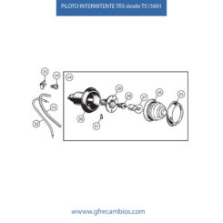 PILOTO INTERMITENTE TR3 desde TS15601