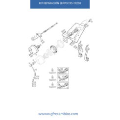 KIT REPARACIÓN SERVO TR5-TR250