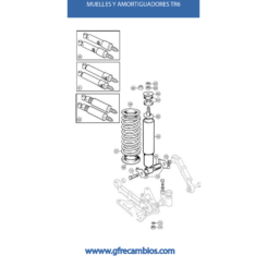 MUELLES Y AMORTIGUADORES TR6
